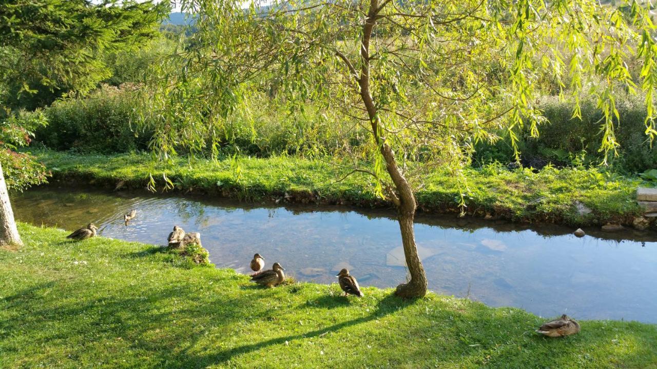 Rustic Inn River Prijeboj Bagian luar foto